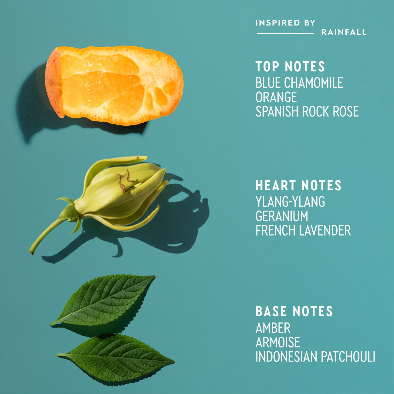 Indigo Rain Styling Custard Packet