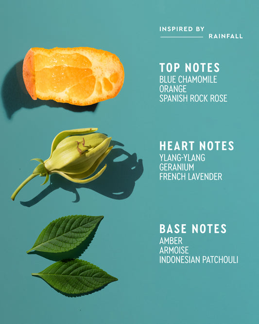 Indigo Rain Leave-In Conditioner