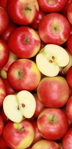 Apple Extract