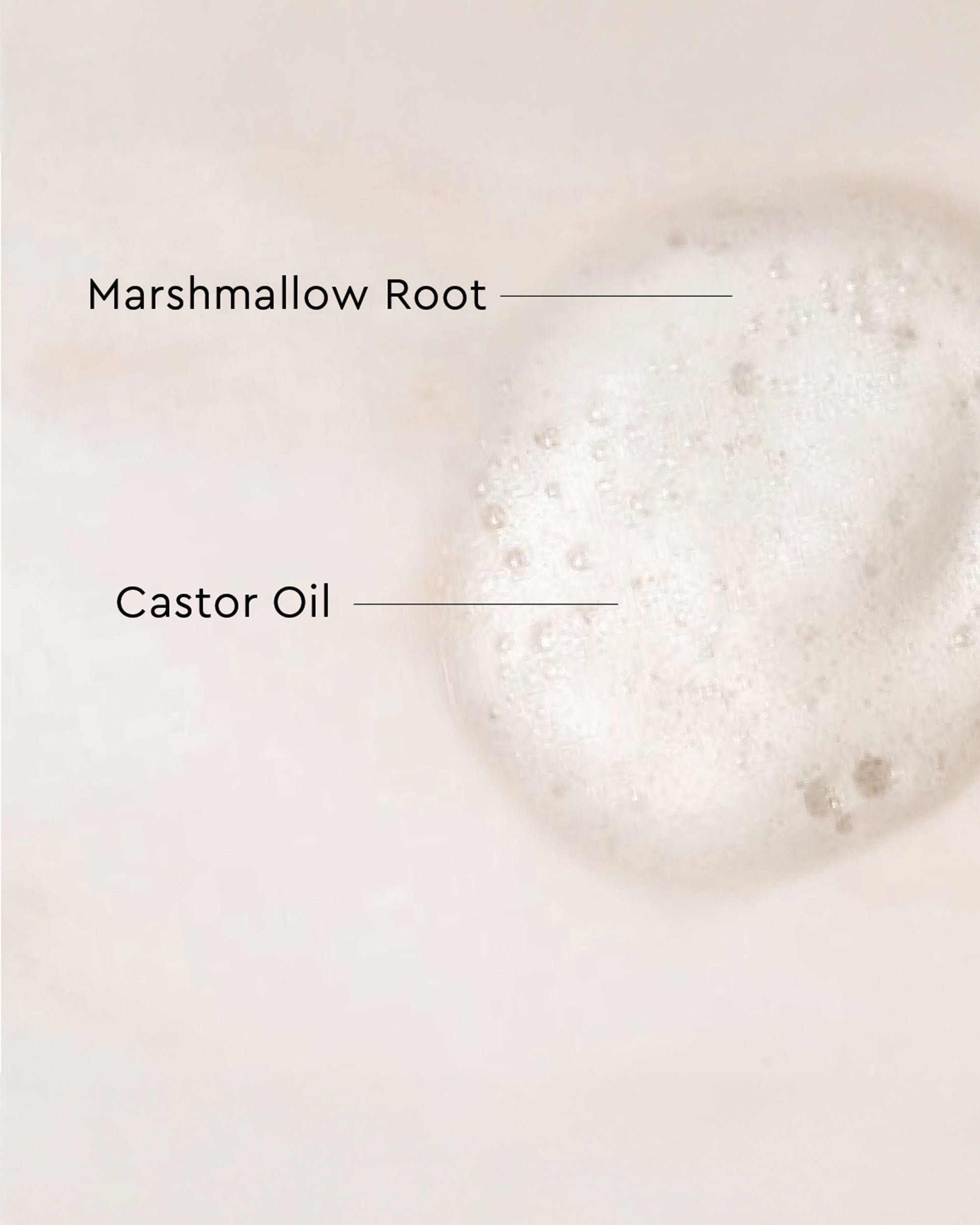 Palo Santo Curl Mousse - Close-up of creamy white mousse texture with foamy, airy consistency labeled with Marshmallow Root and Castor Oil.