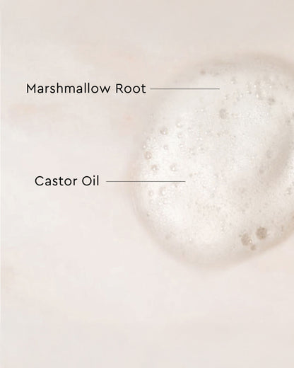 Palo Santo Curl Mousse - Close-up of creamy white mousse texture with foamy, airy consistency labeled with Marshmallow Root and Castor Oil.