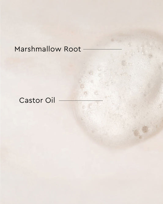 Palo Santo Curl Mousse - Close-up of creamy white mousse texture with foamy, airy consistency labeled with Marshmallow Root and Castor Oil.