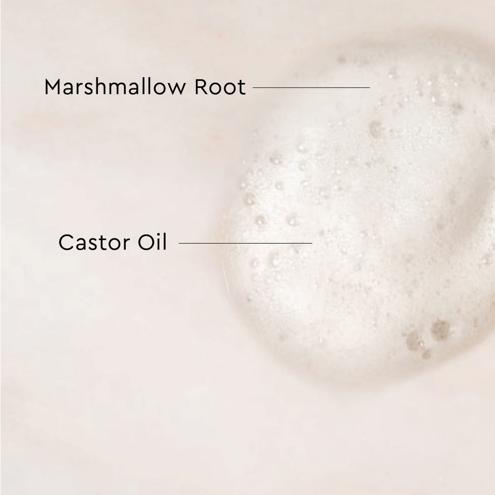 Palo Santo Lightweight Curl Defining Mousse Pattern Beauty palo-santo-lightweight-curl-defining-mousse-pattern-beauty