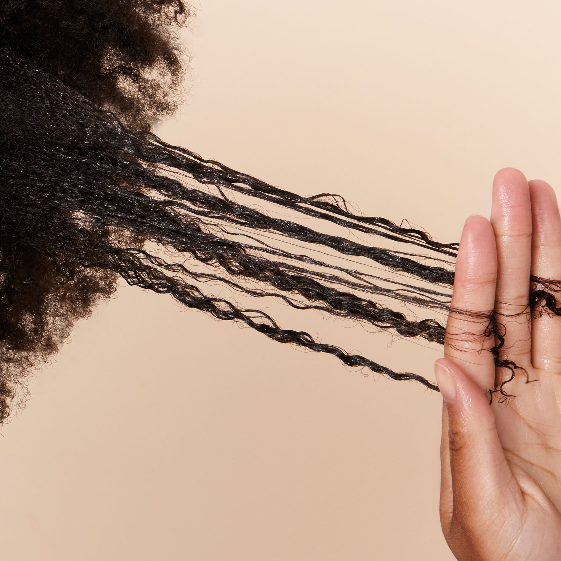 Transition Mask Packet